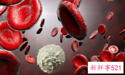 红细胞分布宽度标准差