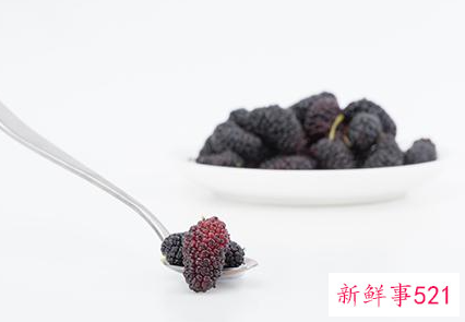 桑葚干一天吃多少颗最佳