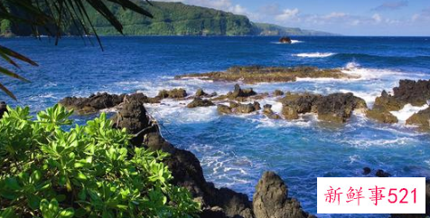 人的判断力取决于