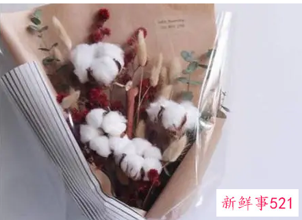 狮子男不想失去的表现