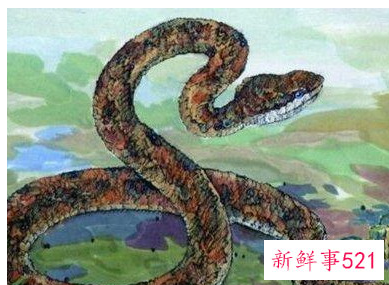 属蛇人2022年运势及运程