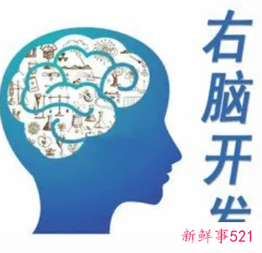右脑开发图片1000