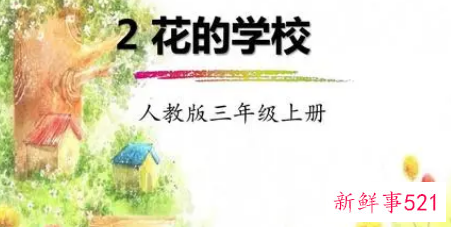 三年级优秀作文