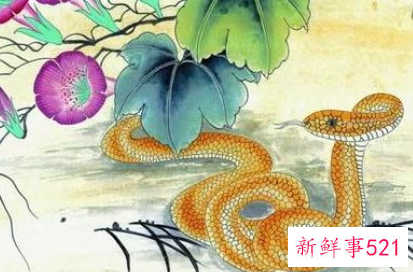 属蛇人2022年运势及运程