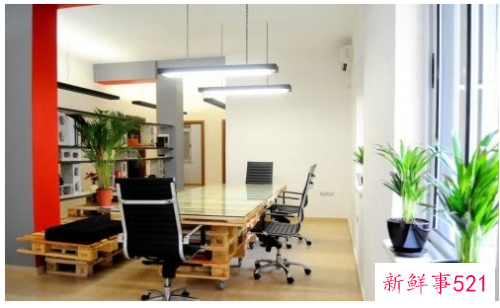 办公室座位如何摆放才好