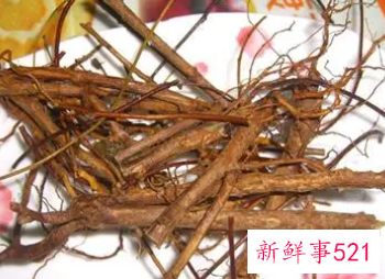 龙根精杞茶的功效与作用