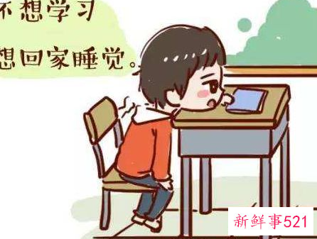 小学生每天自律生活