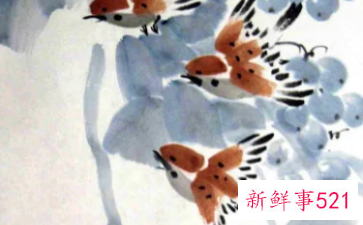 麻雀象征吉祥吗