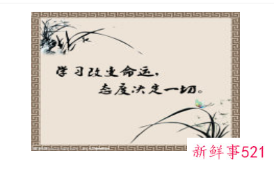 现在的小学生应该怎么培养