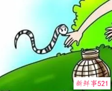 梦见被蟒蛇咬有什么征兆