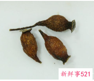 最常见的补肾食物有哪些