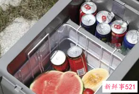 中国车载冰箱十大排行