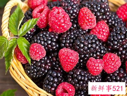 桑葚干一天吃多少颗最佳