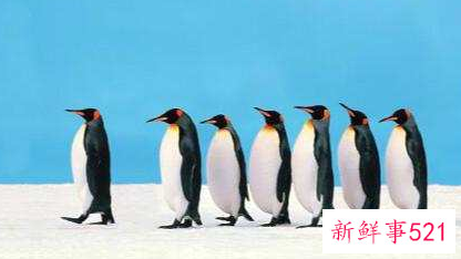 和领导搞好关系