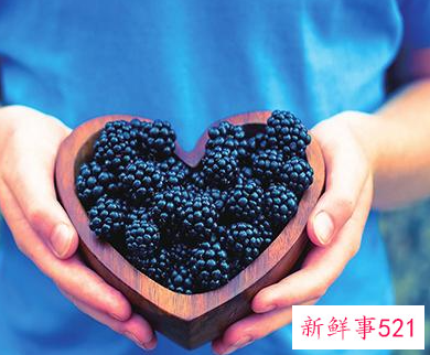 桑葚干一天吃多少颗最佳