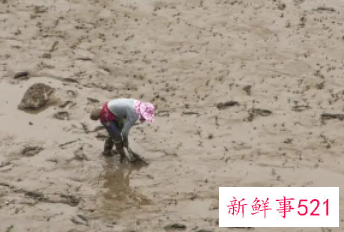 周公解梦梦见自己陷入淤泥里