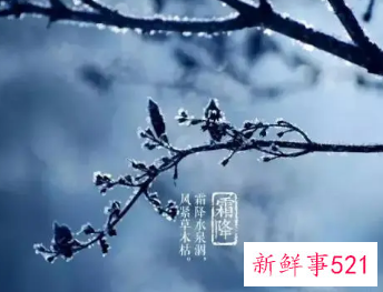 霜降的诗句古诗大全