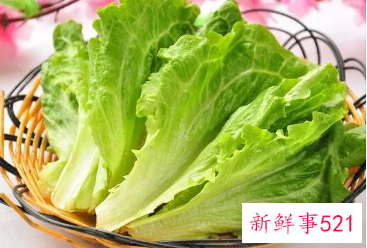 生菜可以生吃吗