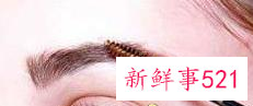如何画眉毛好看