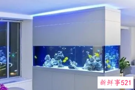 办公室的鱼缸怎么摆放好呢