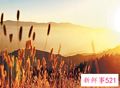 晒太阳对肾虚有好处吗