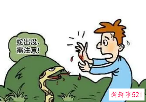 梦见被蟒蛇咬有什么征兆