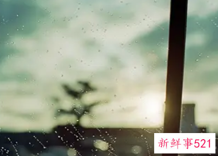 梦见太阳在雨中照耀有什么征兆