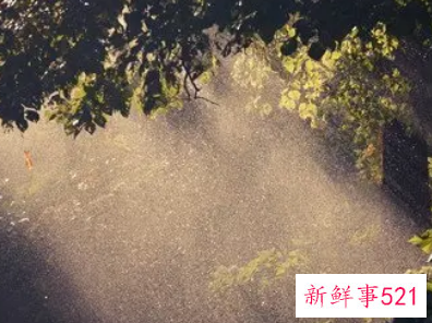 梦见太阳在雨中照耀有什么征兆