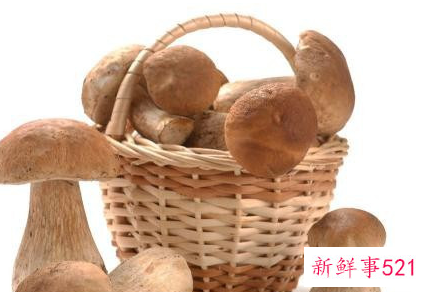 菌类有什么营养价值