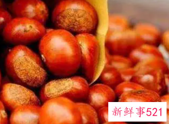 最常见的补肾食物有哪些