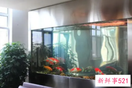 办公室的鱼缸怎么摆放好呢