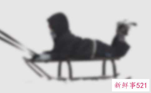 阿拉斯加雪橇犬好养吗？