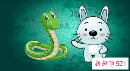 兔和蛇的婚配