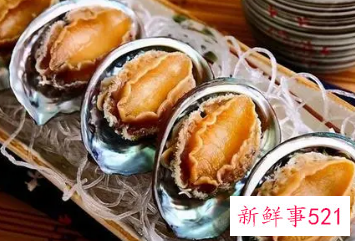 鲍鱼的营养功效与作用及哪些人不能吃