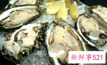 怀孕能吃生蚝不