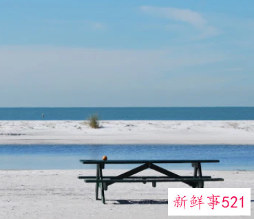 格局比任何人都大的星座