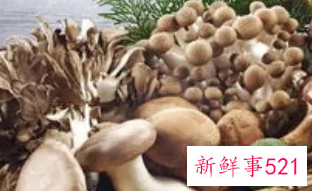 女人为什么不能多吃菌类