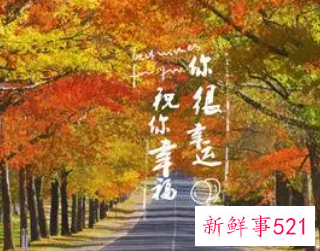 一个字表达顺利好运