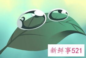 哪些星座女是既贤惠又顾家