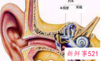 男人左耳发烫是什么预兆