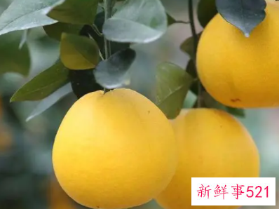 适合糖尿病患者吃的水果有哪些