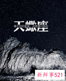 天蝎男冷静多久会找你