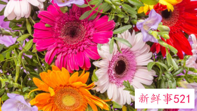 送女生花的祝福语