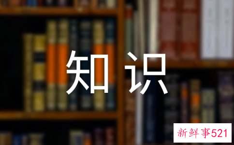 早上护肤需要掌握哪些小知识