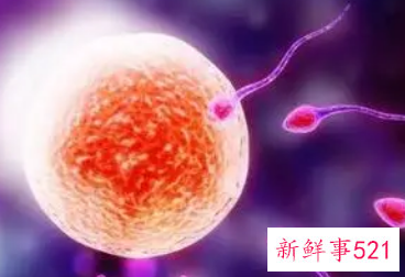 如何让卵泡长得快又好