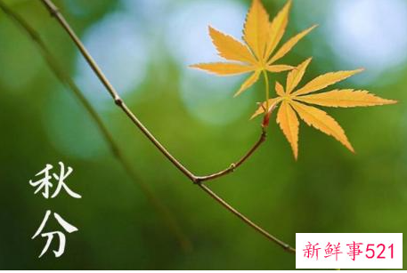 秋分祝福语独特的