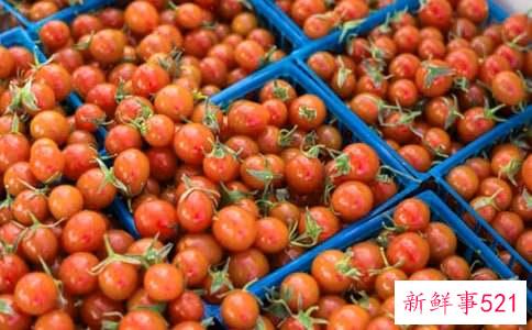 春吃番茄滋养身体