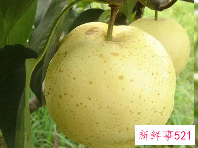 适合糖尿病患者吃的水果有哪些