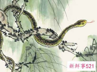 孕妇梦见蛇死了是什么意思