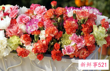 聊天男生最招架不住的撩法